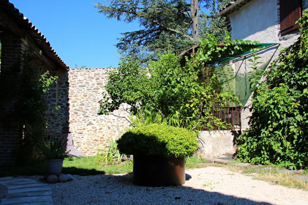 La Ferme Ranc - Gite Le Cosy Gagnières Buitenkant foto